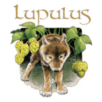 Brasserie Lupulus
