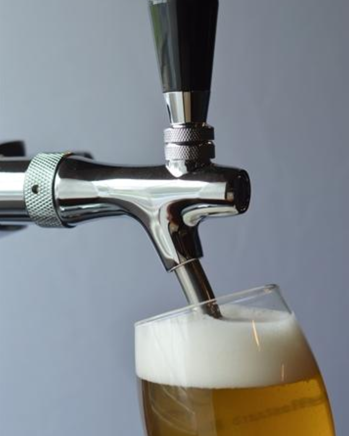 Filou 8,5% 20L